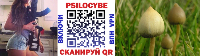 Псилоцибиновые грибы Cubensis  Купить закладки  Кумертау 